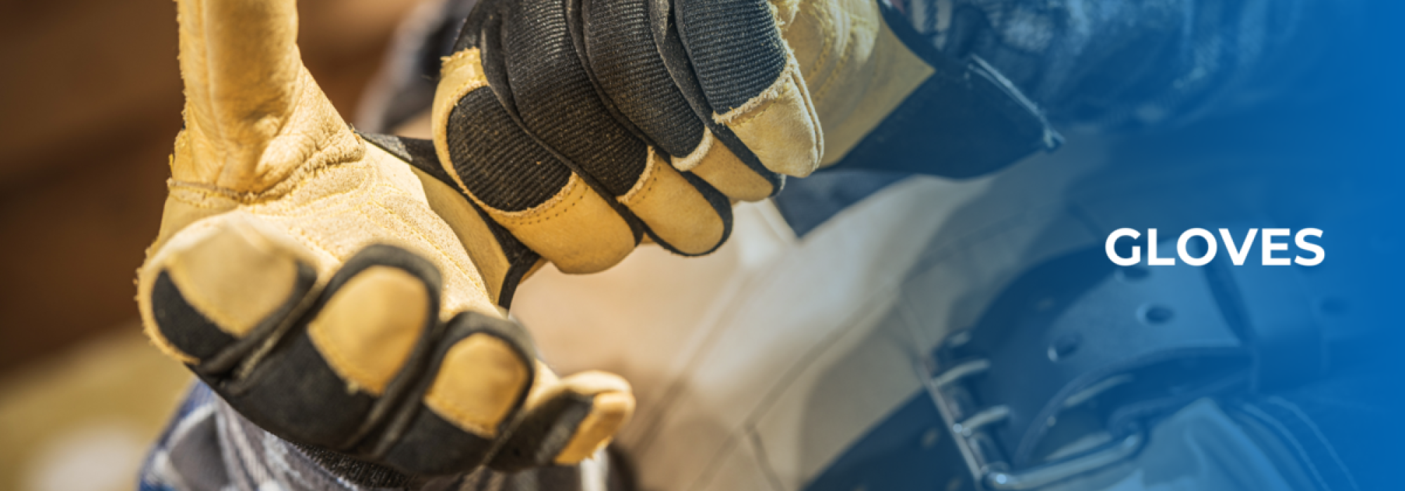 GLOVES